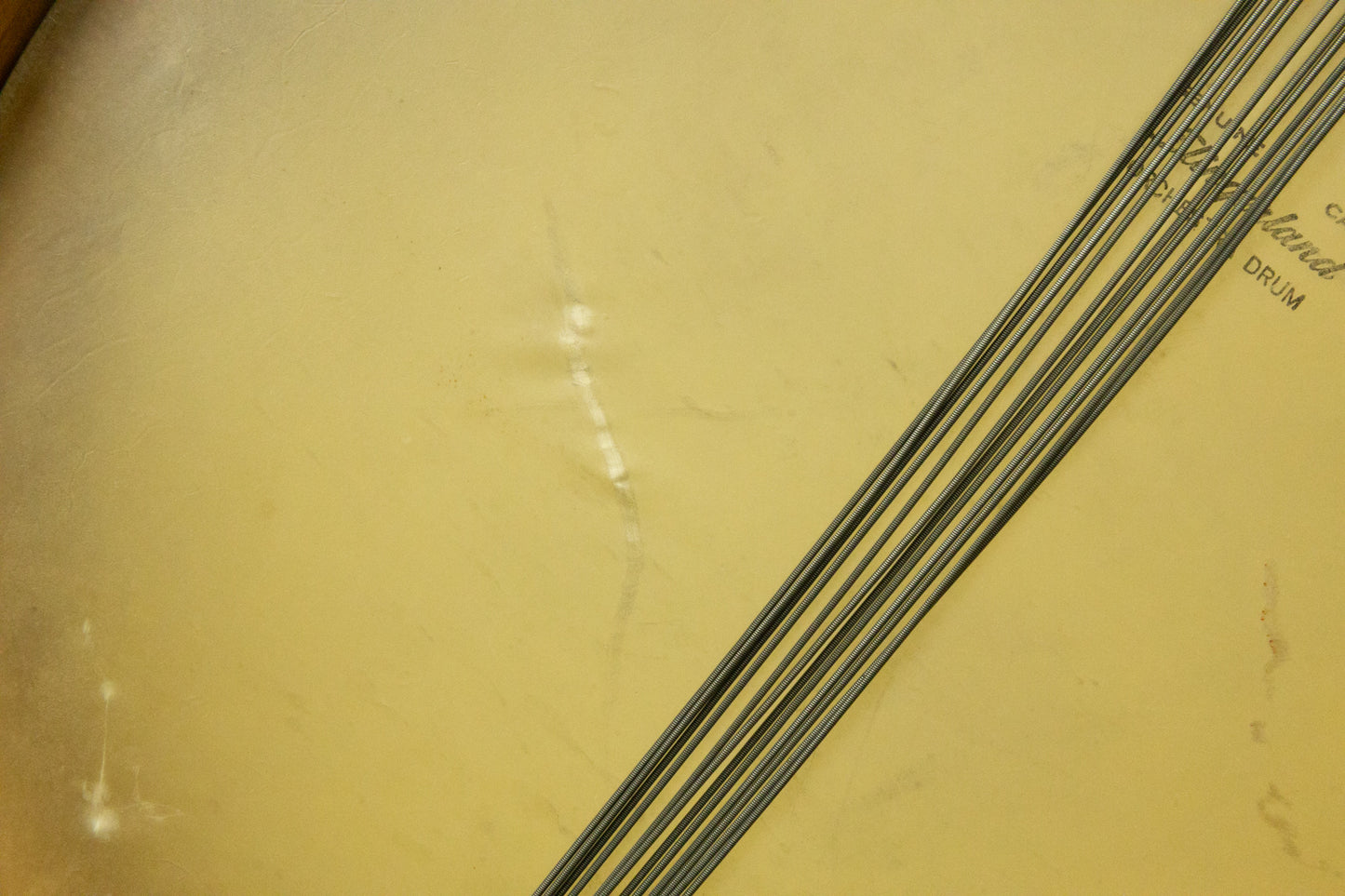 1920s Leedy 3.5x14 Thumb Rod Snare Drum