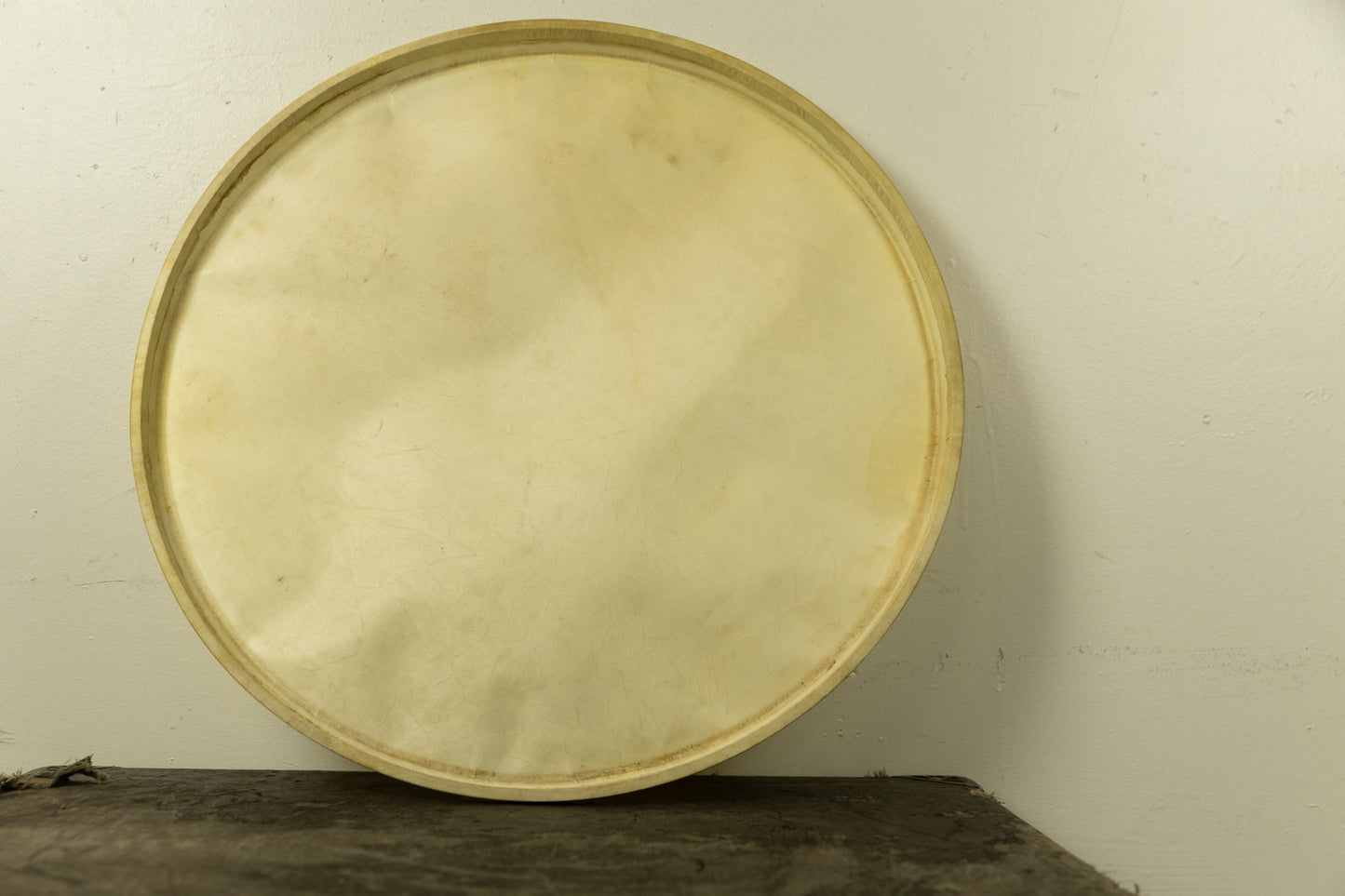Vintage Rogers 20" Calfskin Logo Bass Drum Head