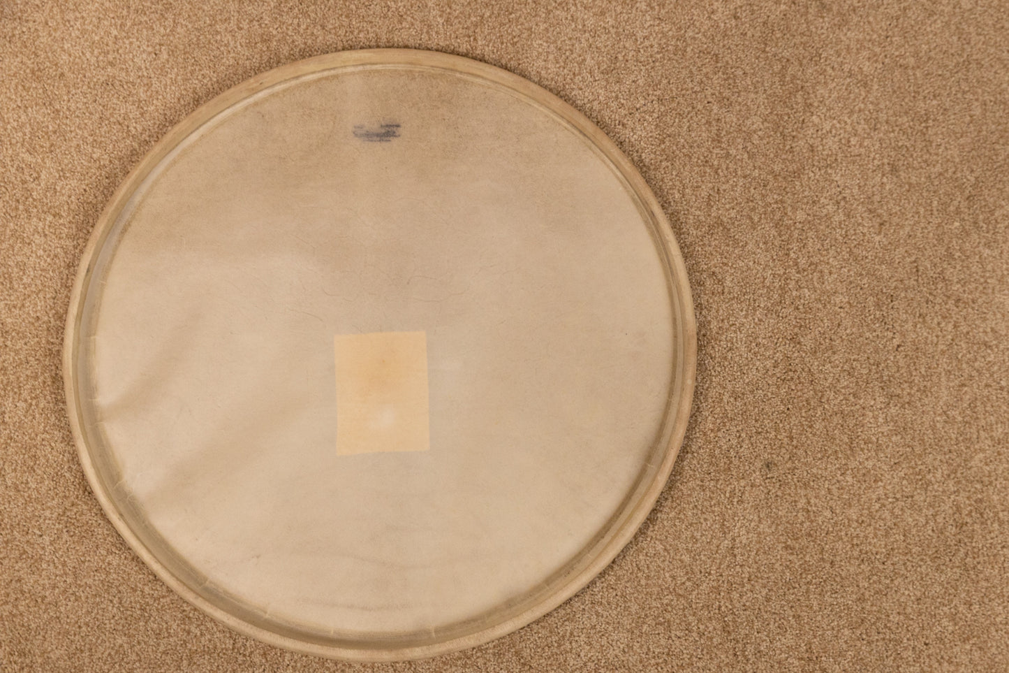 Vintage Slingerland 20" Radio King Calfskin Bass Drum Head