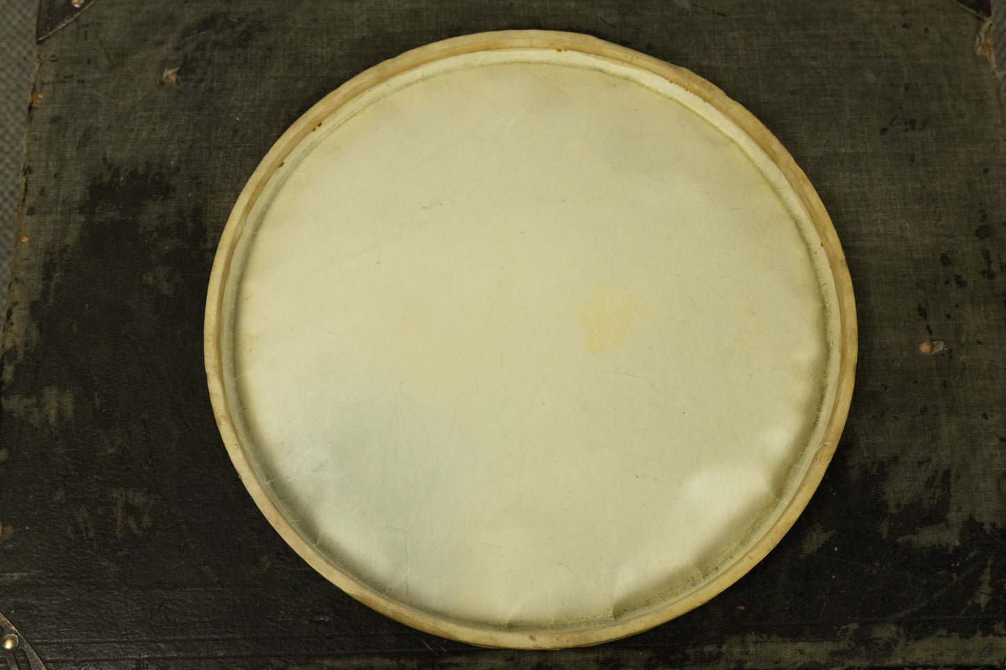 Vintage 14" Calfskin Amrawco Snare Drum Head