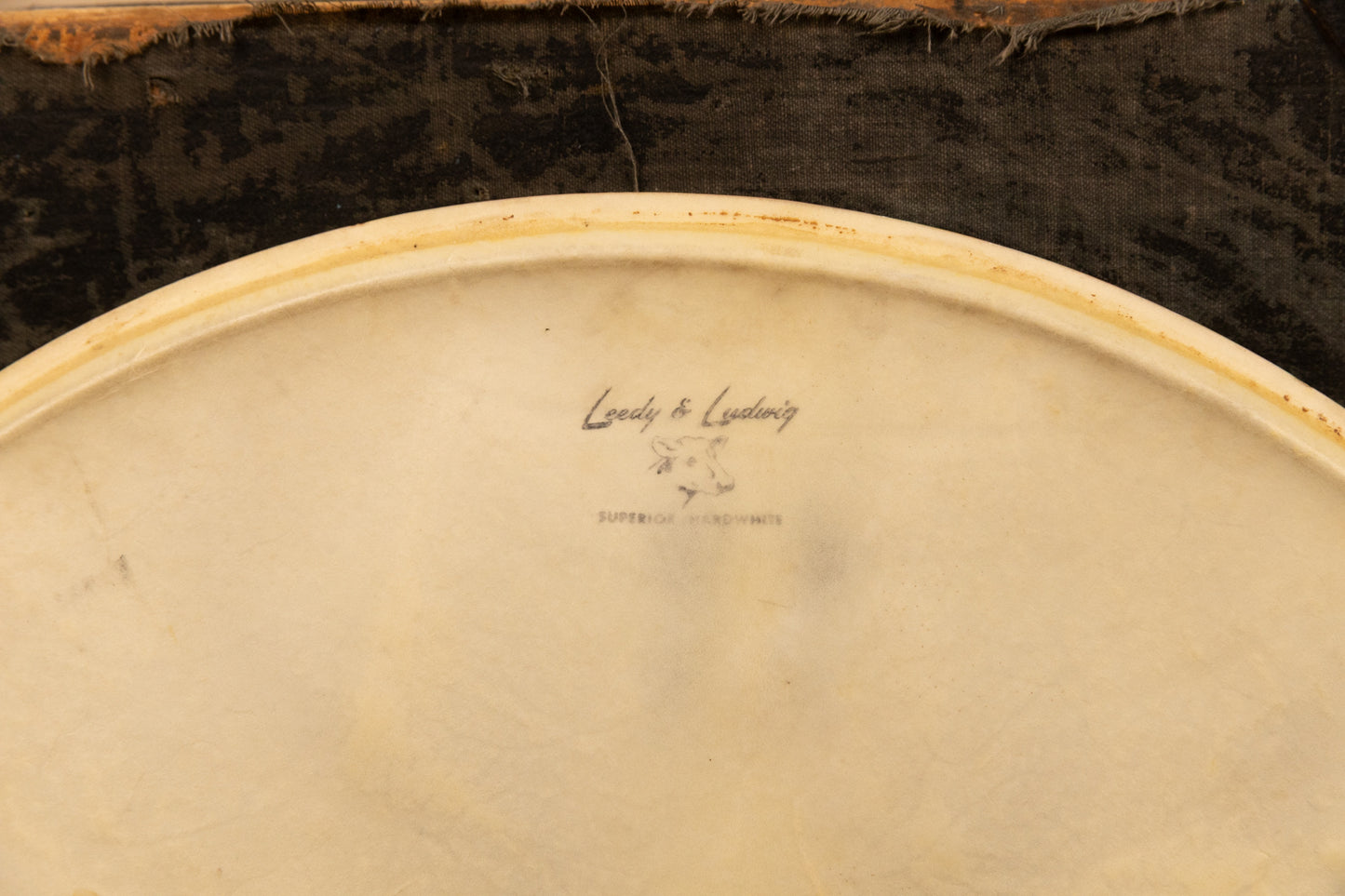 Vintage Leedy and Ludwig 22" Calfskin Logo Bass Drum Head