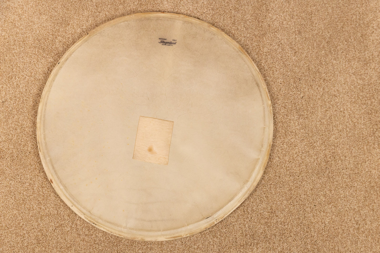 Vintage Slingerland 20" Radio King Calfskin Bass Drum Head