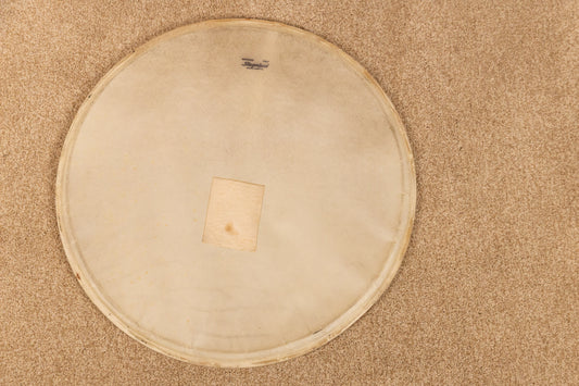 Vintage Slingerland 20" Radio King Calfskin Bass Drum Head