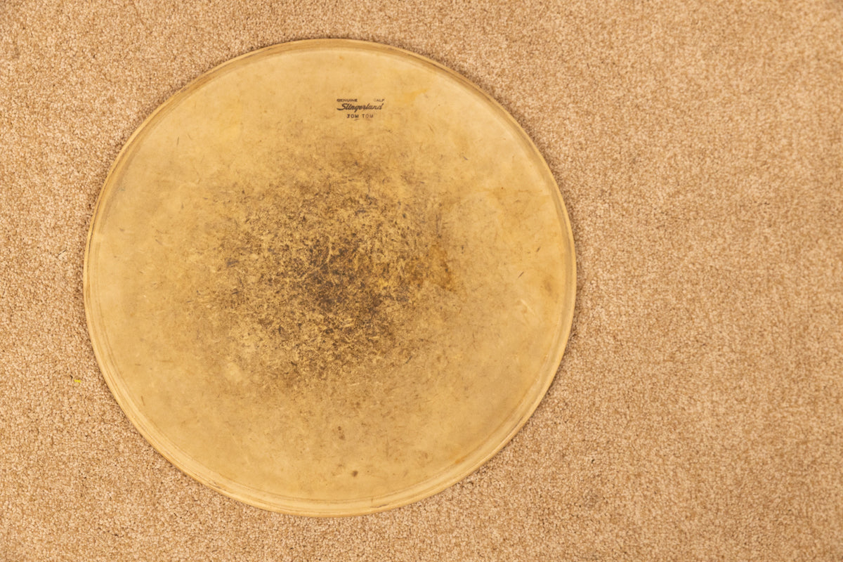Vintage Slingerland 16" Calfskin Head