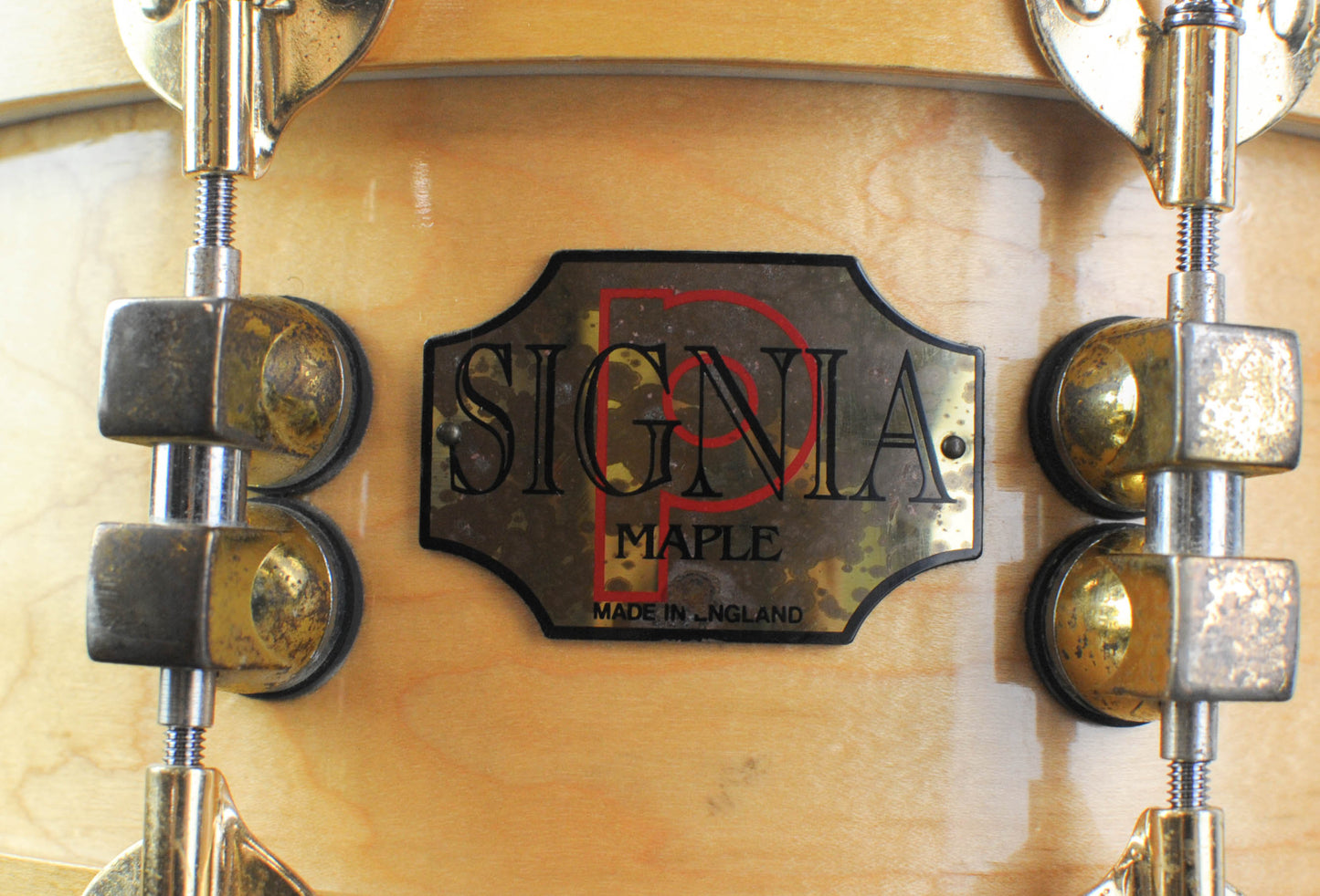 1990s Premier Signia 5.5x14 Maple Snare Drum